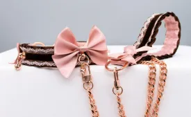 Luxury Mauve and Chocolate Velvet Rose Gold Collar and Leash BDSM Set